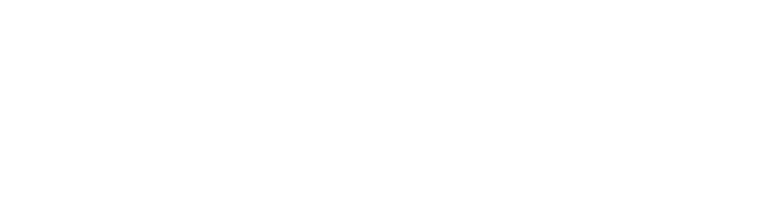 THE BRAND OF RENAISSANCE